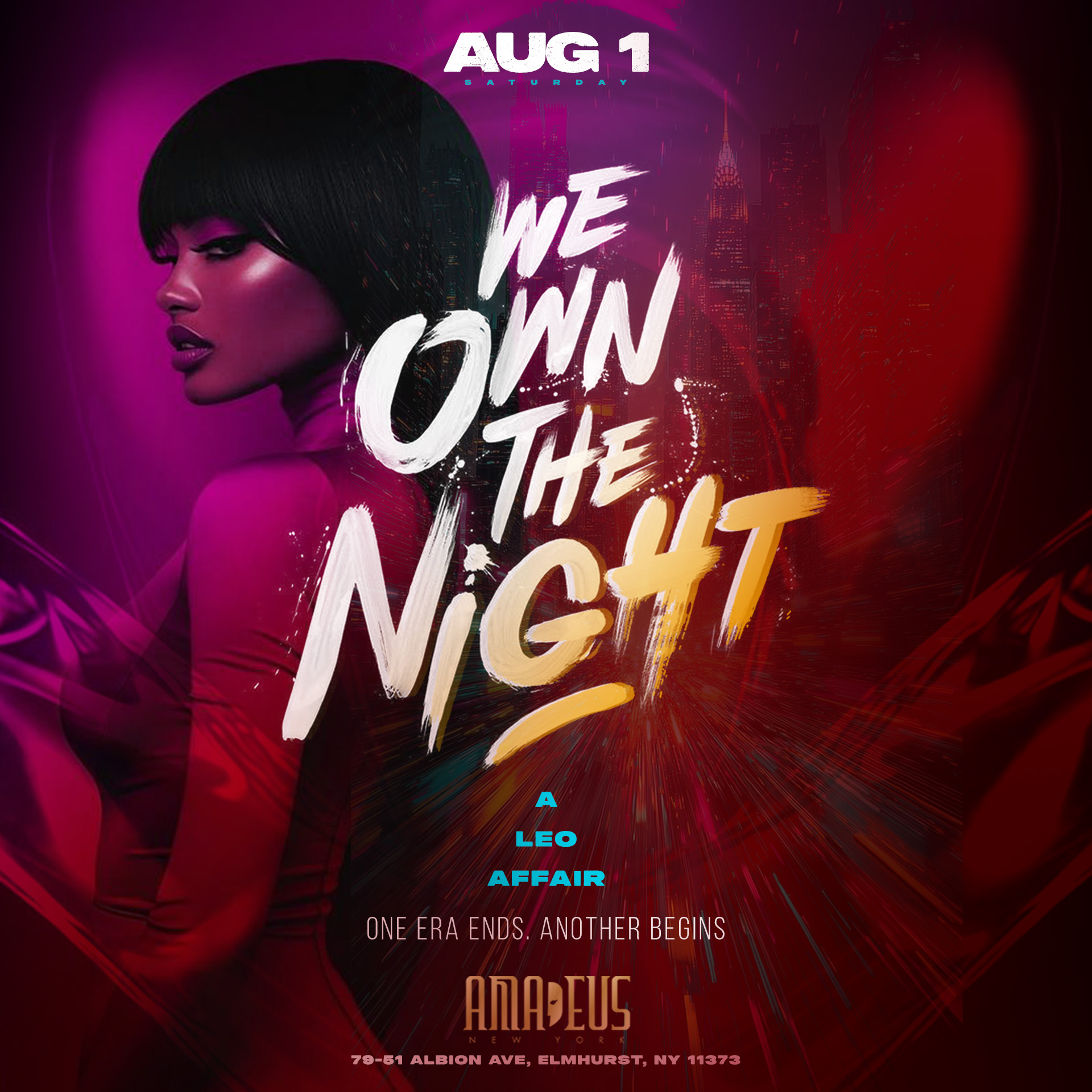We Own The Night - Leo Affair